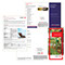Print Designs for HSBC Bank